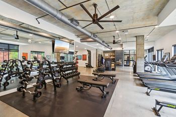 A gym with a row of treadmills on the left and a row of stationary bikes on the right.